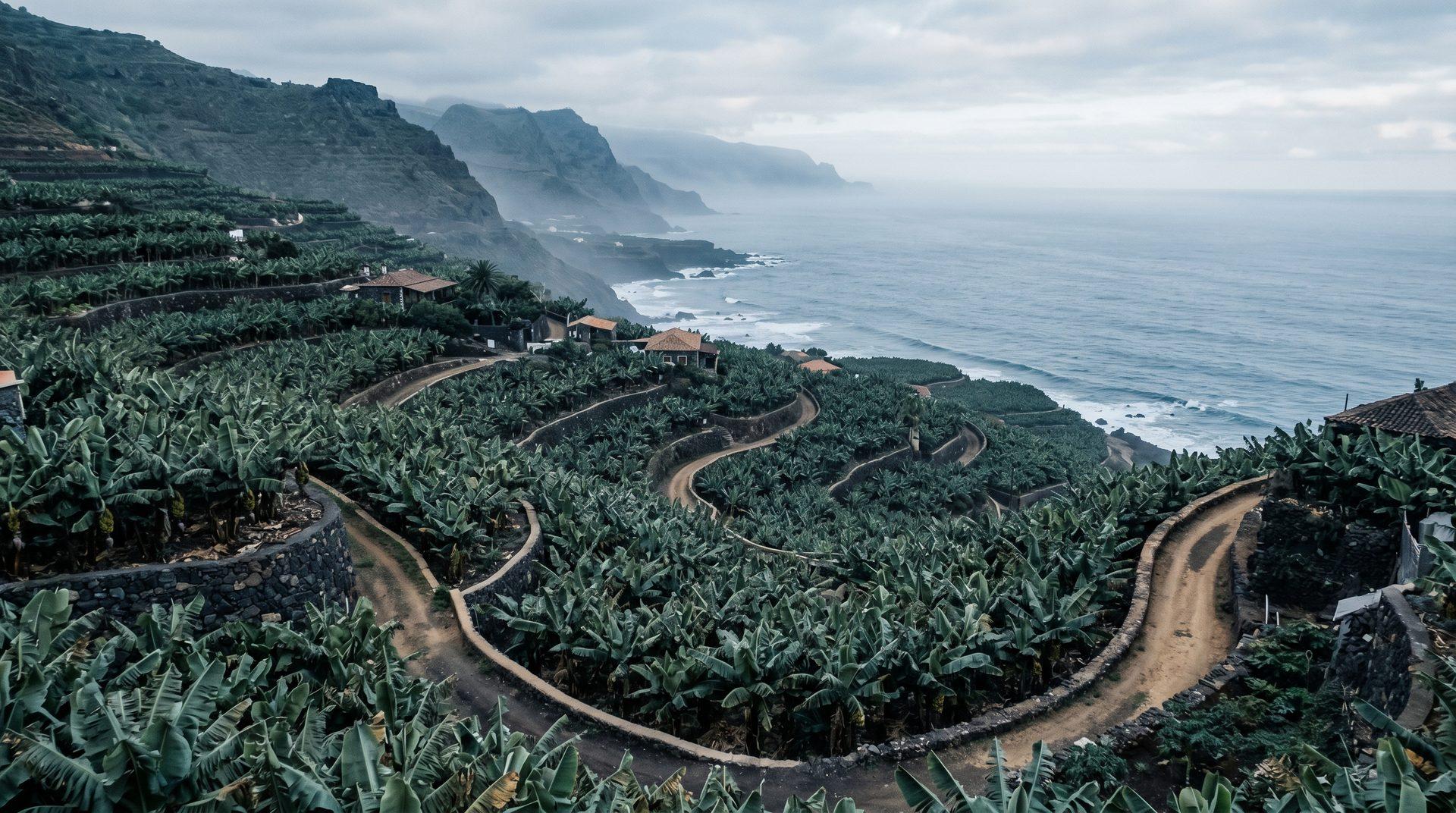 A misty Canarian banana plantation finca descending toward the Atlantic on Tenerife